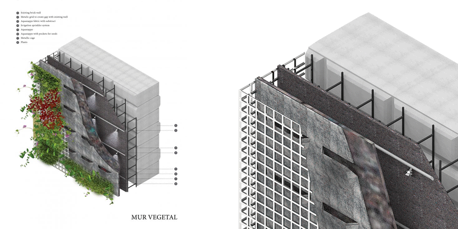 Environmental collage